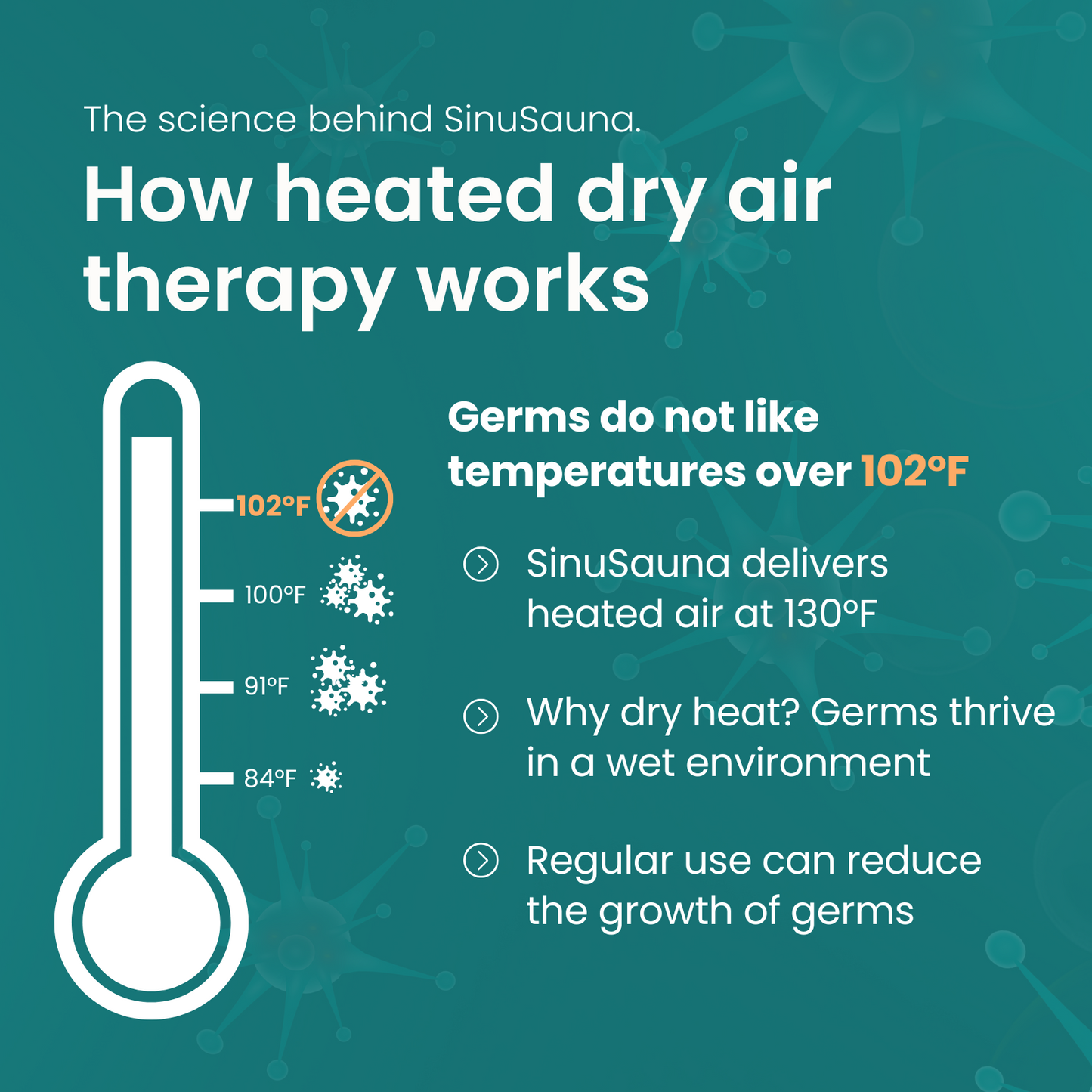 SinuSauna Heated Dry Air Therapy Mask